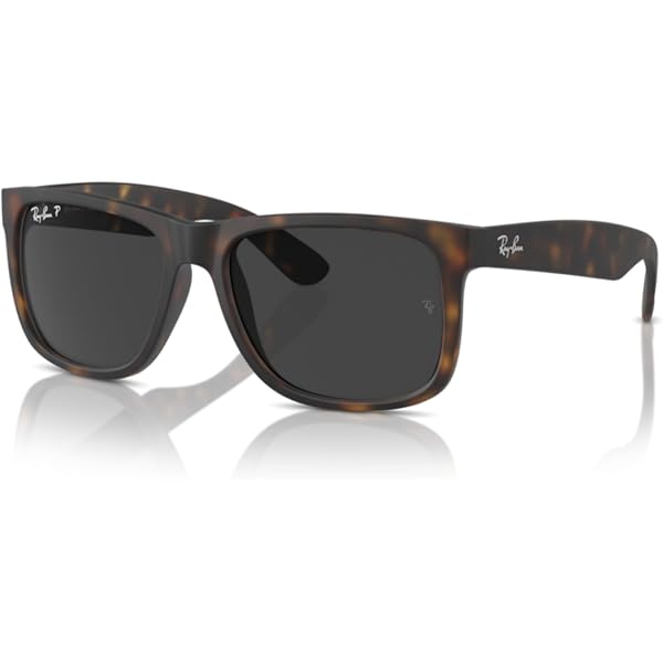 Amazon.com: Polarized CLIP-ON Sunglasses for RAY-BAN RB8415 (Black